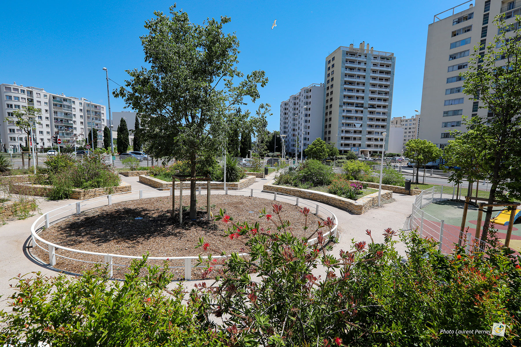 Vue sur le jardin entouré de grands immeubles