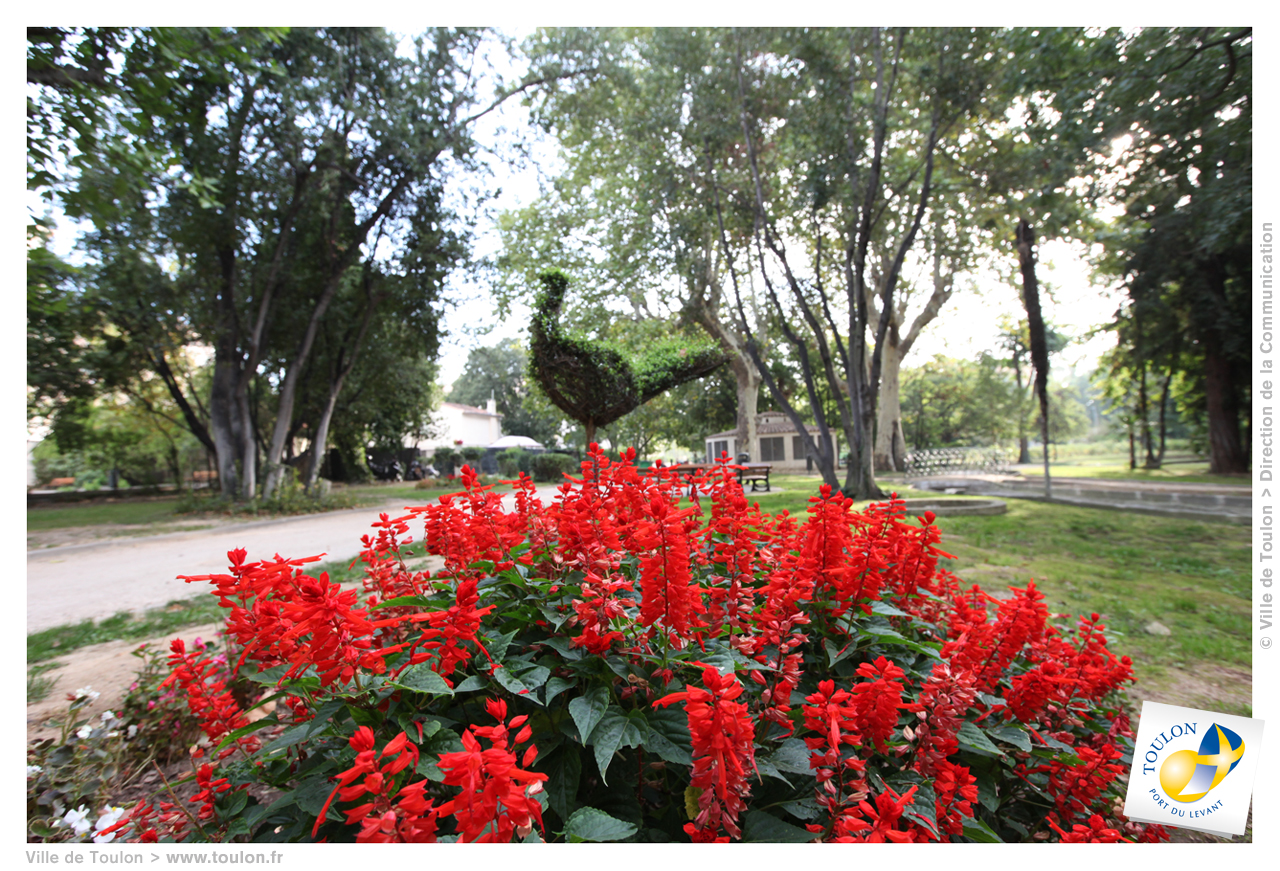 Vue sur le parc avec n parterre de fleurs rouges au premier plan