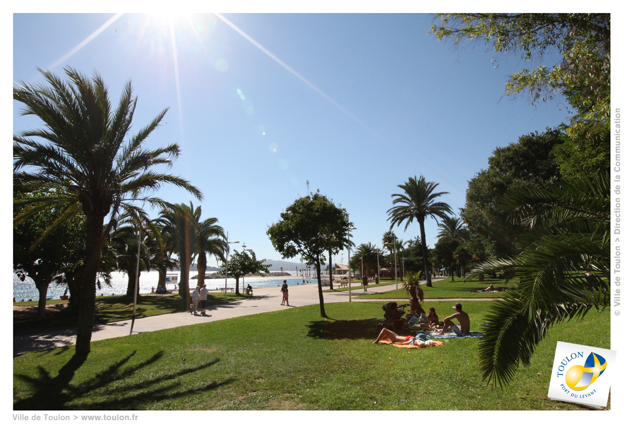 Vue sur les plages du mourillon où des gens se sont installés pour bronzer sur l'herbe