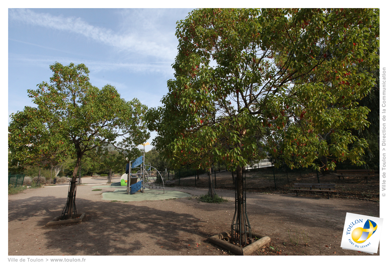 Vue sur le jardin avec des grands arbres et des jeux d'enfants.