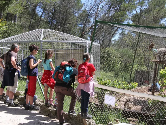 Zoo du Faron