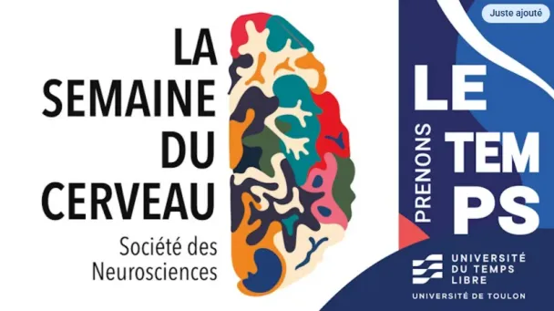 Affiche sur la semaine du cerveau