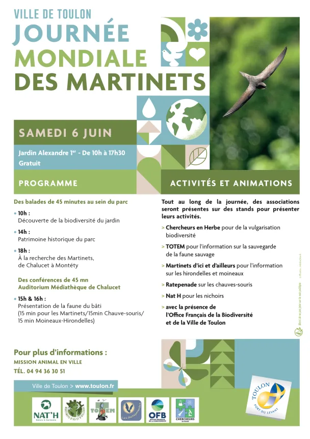 Affiche annonçant la journée des martinets