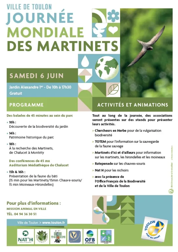 Journée mondiale des martinets