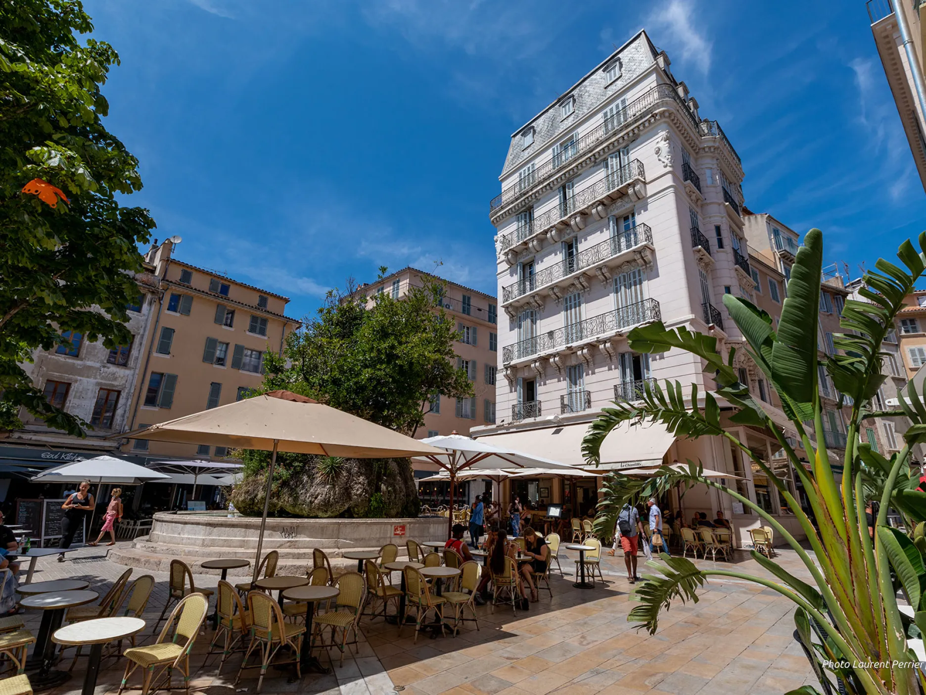 Place avec terrasses de café et en son centre une fontaine avec un grand arbre