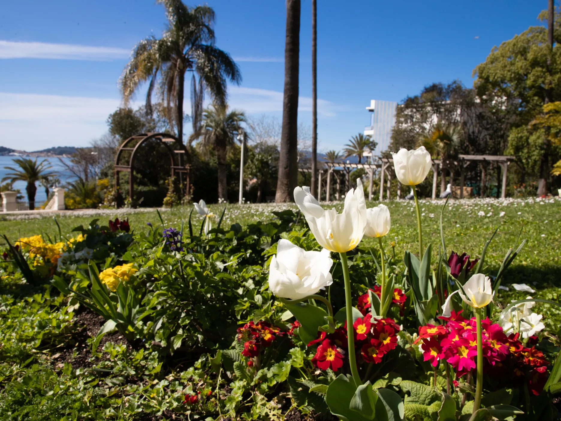 Toulon ville fleurie