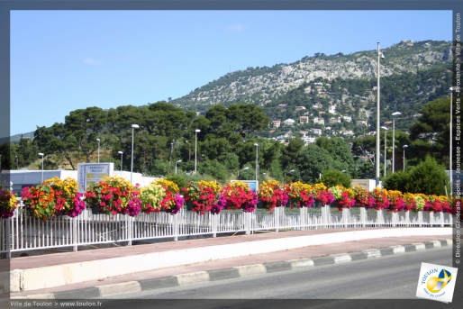 Toulon en fleurs
