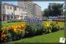 Toulon en fleurs